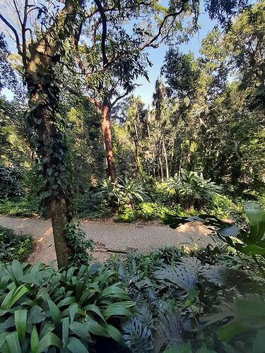 Parque Lage + Jardin Botanique Rio - France-Rio