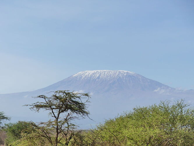 Safari au Kenya - Pat-B