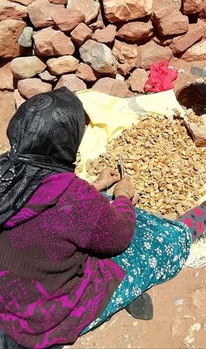 Re: En famille, de Marrakech au désert  - trostang