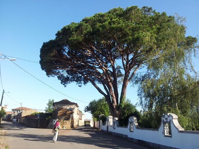 Re: Logement/transport/randos - Sud du Portugal  - charleshenri