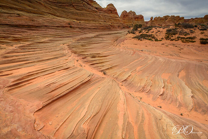 South Coyote Buttes - darth