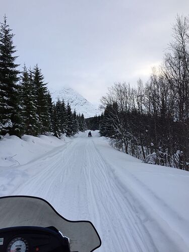 Retour sur une semaine passée au nord de la Norvège en février - Pimprennelle33 Retour sur une semaine passée au nord de la Norvège en février - Pimprennelle33