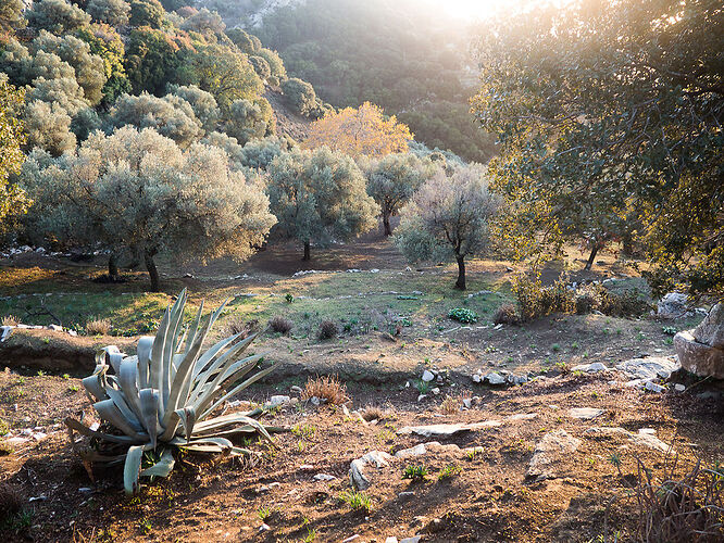 Grêce 7 jours donc Trek 4 jours à Naxos - Le crabi en voyage