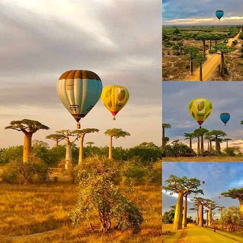 Re: Vol en montgolfière à Madagascar ? - fgourinel