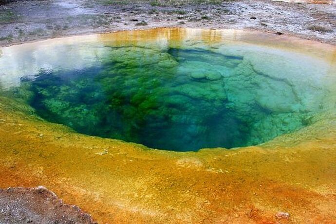 Re: Voyages entre l'Alberta et Yellowstone - yensabai