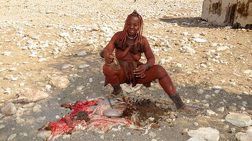 Pour illustrer mes propos - PATOUTAILLE Pour illustrer mes propos - PATOUTAILLE