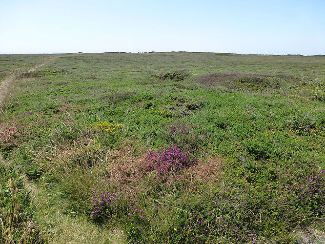 Re: Carnet de voyage, une semaine sous le soleil de Bretagne - Fecampois