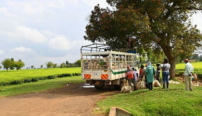 Re: Au coeur du Kenya ; le Kenya dans le coeur - Jmarc71