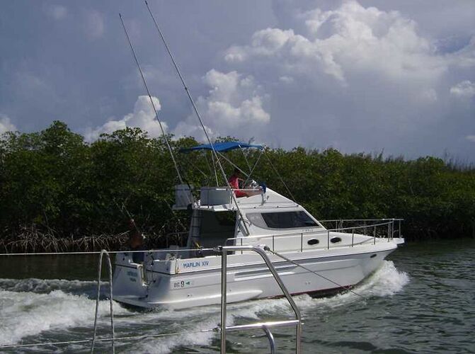 Re: Excursion iles au départ de Varadero - hoyo