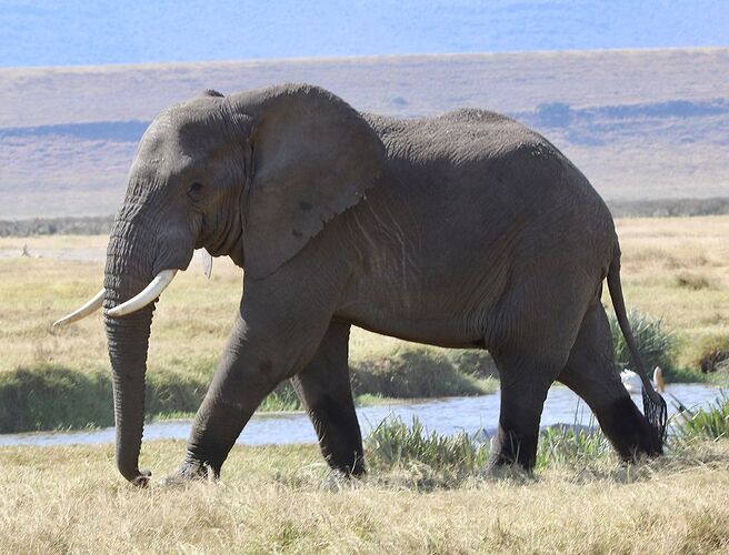 Voyage inoubliable en Tanzanie - CORADOM