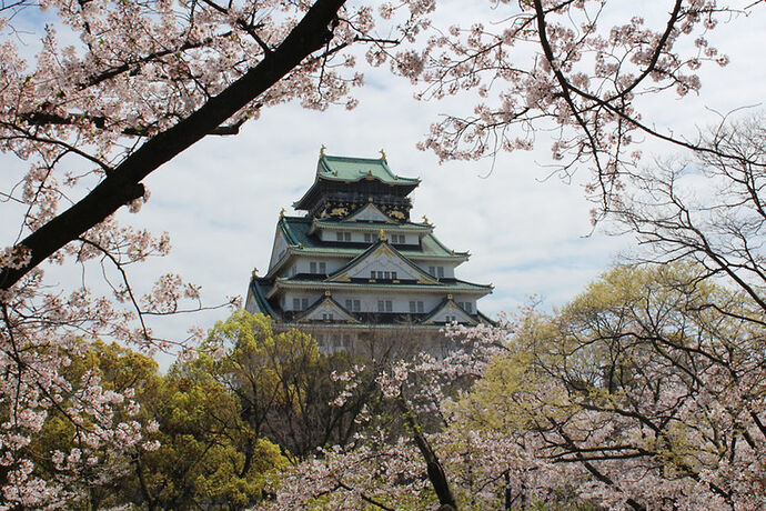 Re: Château Himeji ou Osaka? - fuchan