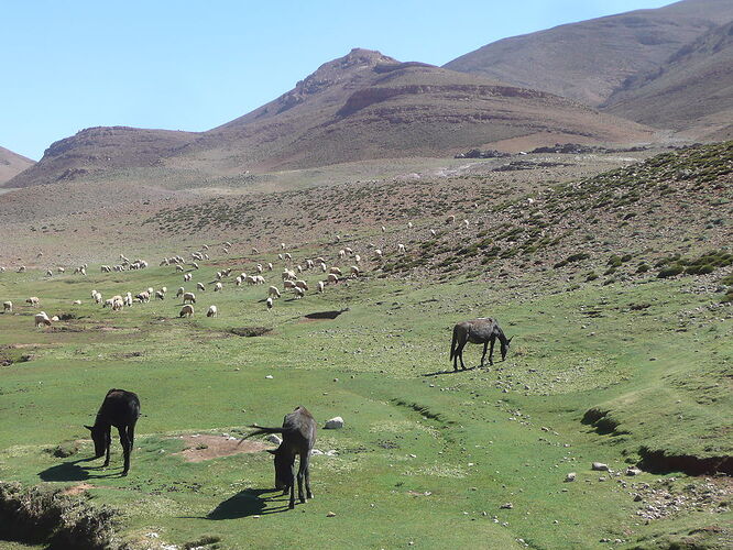 pour la vallée d'ANERGUI - trostang