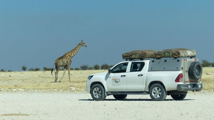 Re: 3 fabuleuses semaines Namibiennes- juillet 2021 - Patbillvoyage