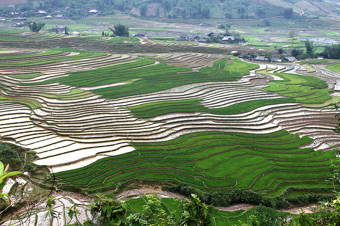 Re: Dernièes nouvelles de Sapa - Abalone_vn