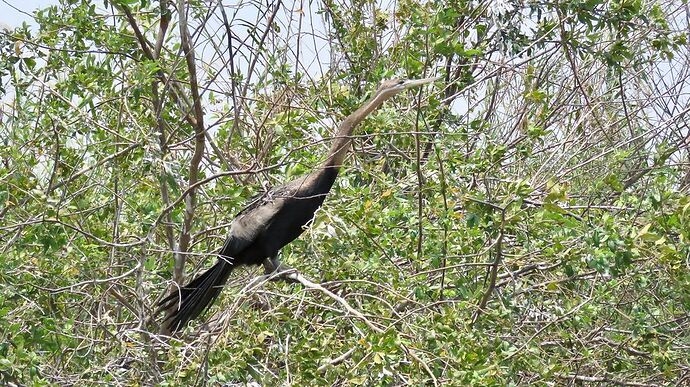 Re: NAMBOTSVIC Namibie- Botswana- Victoria Falls, 3 semaines magiques - PATOUTAILLE