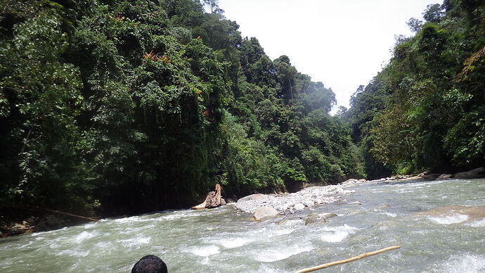 retour trekking Bukit Lawang - chgut