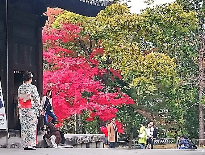 Retour sur mon séjour à Kyoto avec les belles couleurs de l'automne  - quinqua voyageuse