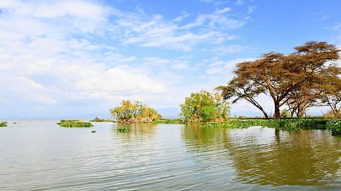 Re: Au coeur du Kenya ; le Kenya dans le coeur - Jmarc71