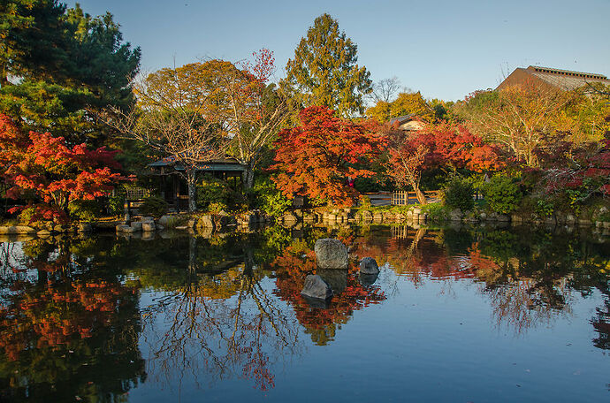 Re: Meilleure période des Momiji à Tokyo et alentours ? - le-souffle-coupe