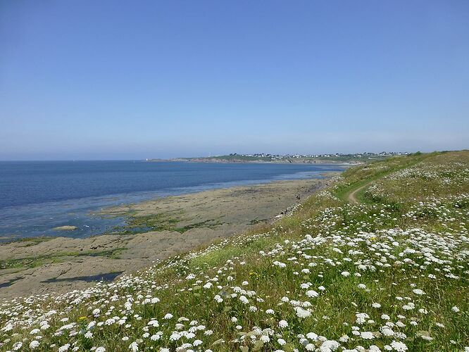 Re: Carnet de voyage, une semaine sous le soleil de Bretagne - Fecampois