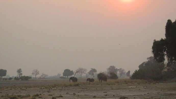 Re: NAMBOTSVIC Namibie- Botswana- Victoria Falls, 3 semaines magiques - PATOUTAILLE