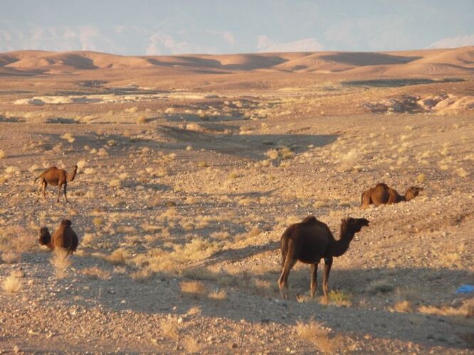 Re: Montagnes,oasis,kasbahs du Maroc  - mimidada