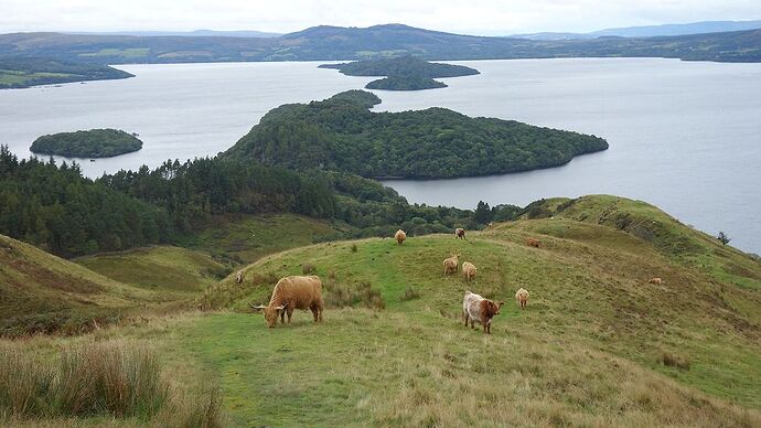 Cinq jours sur l’île de Skye, et petit road trip en Ecosse. - Meli