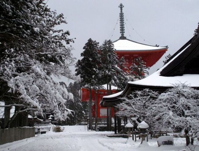 Re: Voyage au Japon en famille - marie_31