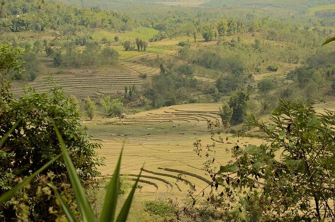 Retour d'expérience 17 jours en Birmanie du 26 janvier au 11 février: épisode 1 Yangon et Kengtung - fabienne65