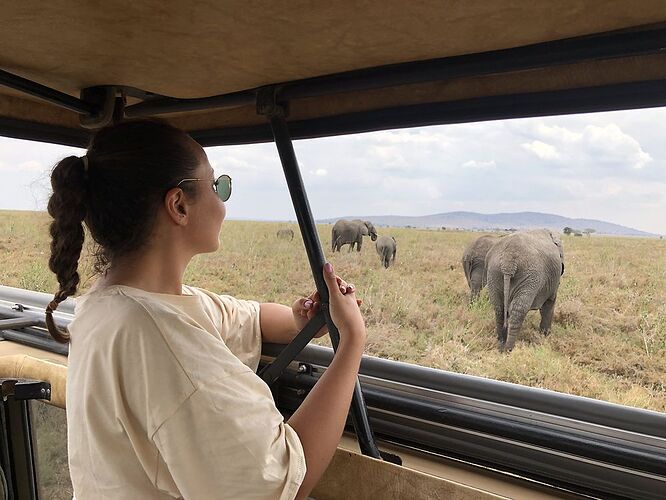 Safari au Ngorongoro et Serengeti  - Yasmineines