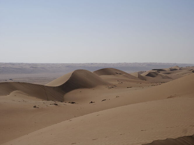 Re: De retour de deux semaines à Oman avec 3 jeunes enfants en camping sauvage - jmayo