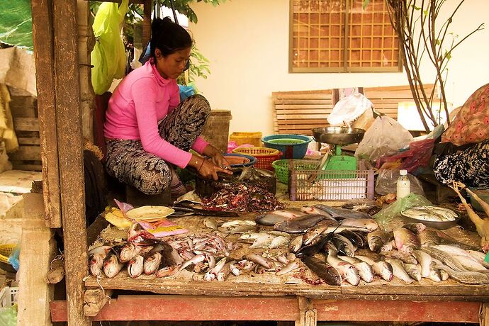 Bonjour Onigi - IzA-Cambodia