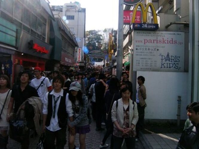 Re: Un moustiquaire, en avril au Japon est-il recommandable ? - marie_31