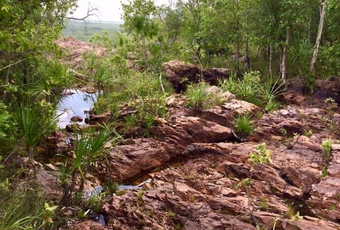 Re: Australie octobre 2017, une semaine autour de Darwin - PATOUTAILLE