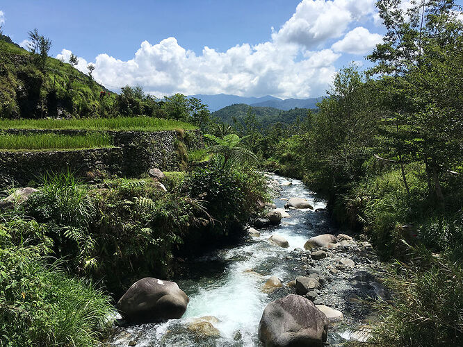 Les Rizières de Banaue  - Pierre-Paris