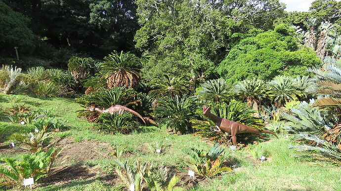 Les jardins de Kirstenbosch  - PATOUTAILLE