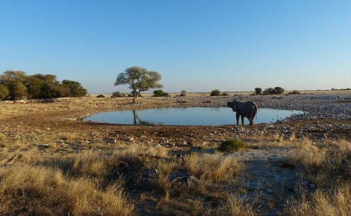 Re: 3 fabuleuses semaines Namibiennes- juillet 2021 - Patbillvoyage