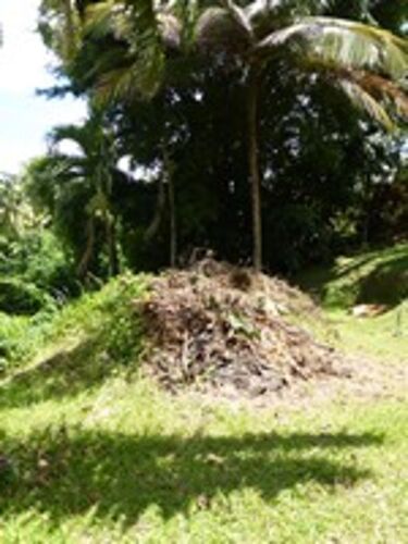 Re: Gîte Bleu-Mandarine à St Pierre Martinique....décevant! - daphneedejardip