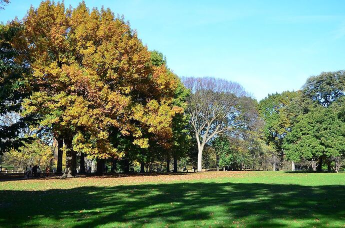 Re: L'automne à Central Park - New-York - bourgmichel