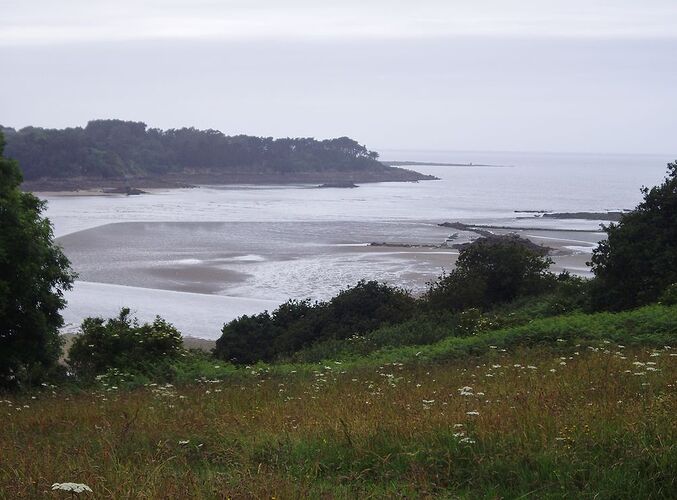 Fin Juin en Bretagne Nord - Zoreillette