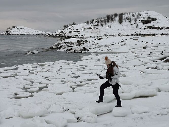 NORVEGE : îles Lofoten et Senja en hiver - vanessavoyage