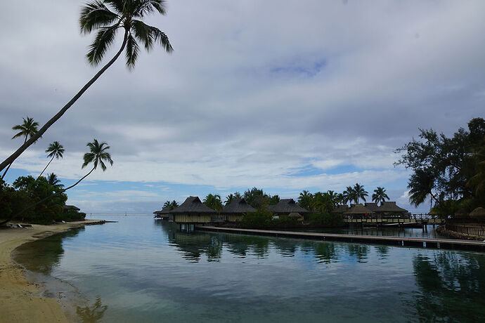 Retour sur découverte de Moorea 1 - cartesien