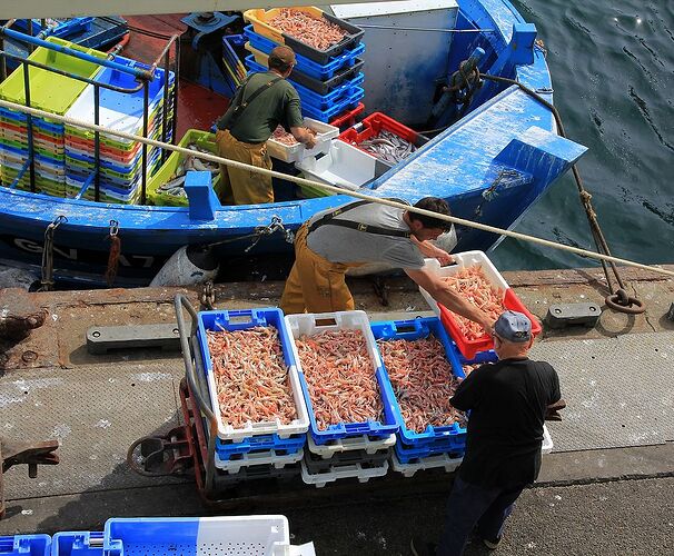 Re: En Bretagne,  au gré de mes balades dans le Finistère - jem