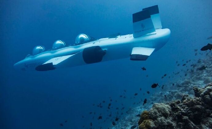 Excursion sous-marine d'un nouveau genre - Baa Atoll - Philomaldives Guide Safaris