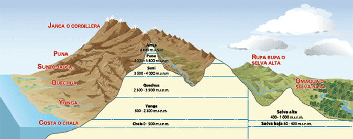 Re: Trek fevrier - Machu Picchu - Tom-peru