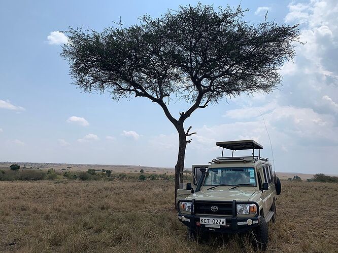 Re: Guide Éric tours safari notre expérience  - victormathe