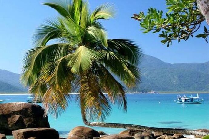 Info : La plage Lopes Mendes - France-Rio