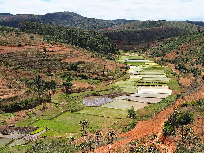 4 semai,es en 4x4 à Madagascar - PIHIEN