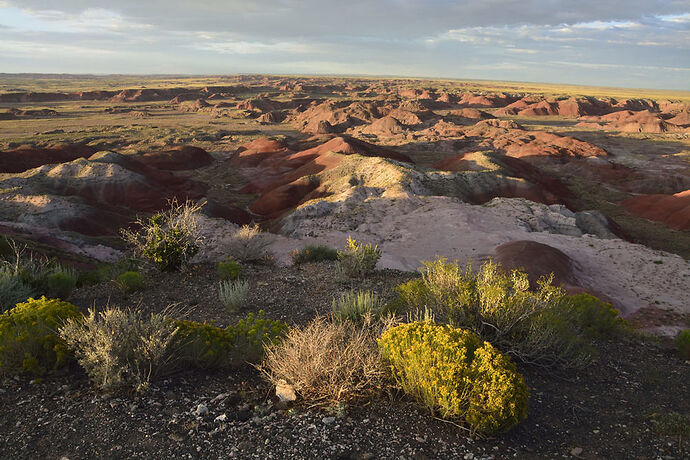 Dimanche 26 Juillet : Petrified Forest – Painted Desert NP - darth