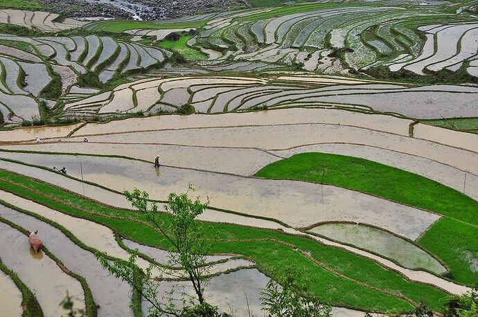 non elles sont en eau mais paysages grandioses et splendides - chellmi